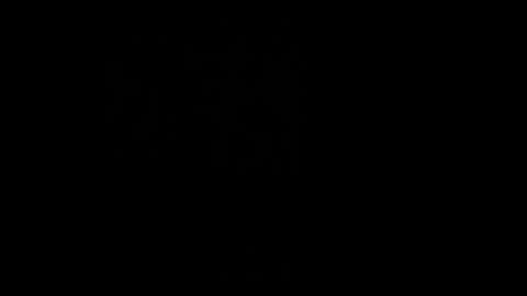 Lovi online show from 01.08.26