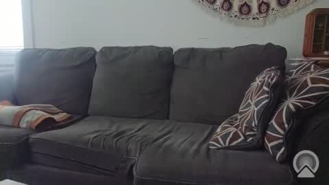 Jake online show from 11.20.25