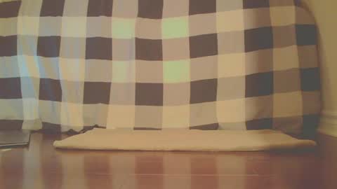 James online show from 04.13.26