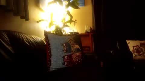 jamesloveridge901 online show from 10.25.25