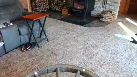 janeen- online show from 02.10.25