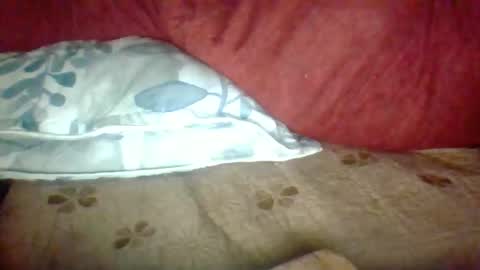 Janne online show from 11.25.25