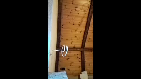 qjny online show from 03.25.26