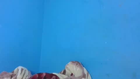 JarevavaX online show from 01.25.25