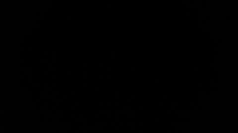 jasmine_star12 online show from 01.12.26