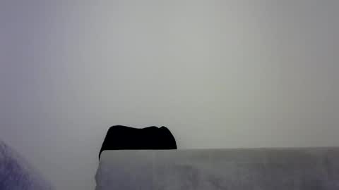 Snapshot of jaspal55 chatting on 11.09.25 jaspal55 online show from 11.09.25