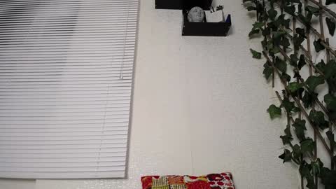 JKing  online show from 01.15.25