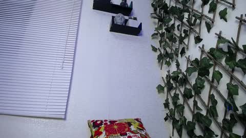 JKing  online show from 01.24.25