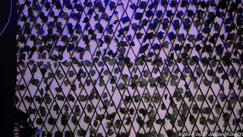 JKing  online show from 09.11.25