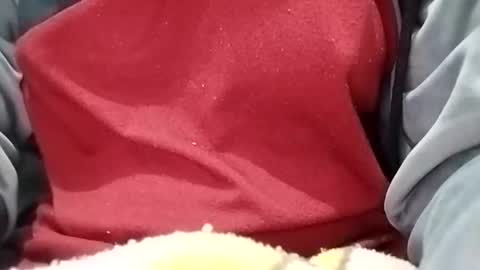 jasspreettt online show from 01.30.25