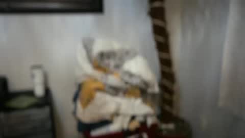 JAV online show from 04.15.26