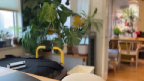 jaxz29 online show from 02.20.26