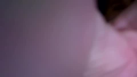 Inked and kinked online show from 12.27.24