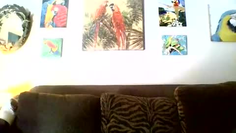 Snapshot of jay_jay1475 chatting on 11.17.25 jay-jay1475 online show from 11.17.25