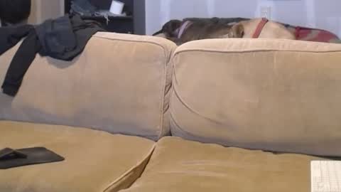 Snapshot of jay_short7863 chatting on 02.17.25 O F jay short786 online show from 02.17.25