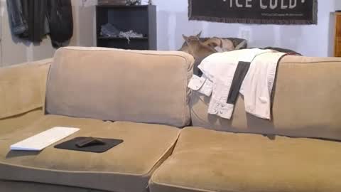 Snapshot of jay_short7863 chatting on 02.19.25 O F jay short786 online show from 02.19.25