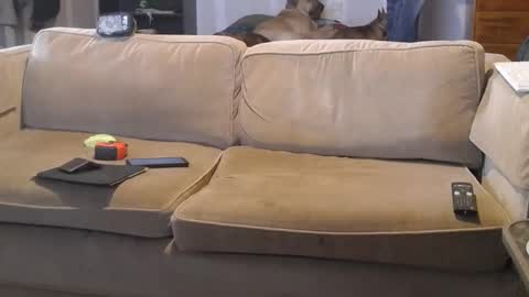 Snapshot of jay_short7863 chatting on 03.01.25 O F jay short786 online show from 03.01.25