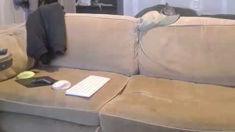 Snapshot of jay_short7863 chatting on 03.09.25 O F jay short786 online show from 03.09.25