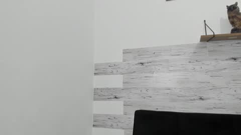 Jaycreedd online show from 03.04.25