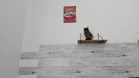 Jaycreedd online show from 03.03.26