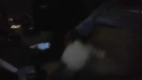 jaywulf22 online show from 01.17.26