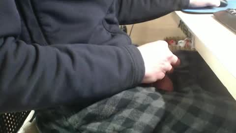 jc200000 online show from 01.29.25