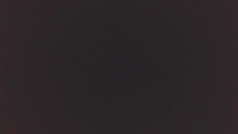 jdog00133 online show from 11.16.25