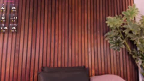     online show from 11.04.25