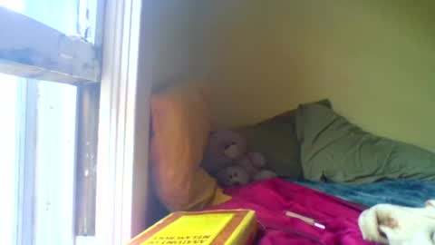 Snapshot of jenovakitty chatting on 04.17.26 Jenn - come to my onlyfans online show from 04.17.26