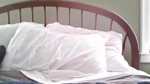 jerkingmanforyou online show from 03.15.26