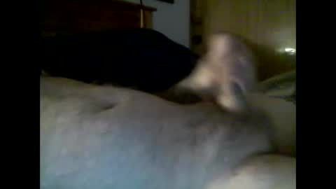 jerkmate6666 online show from 12.04.25