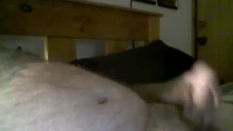 jerkmate6666 online show from 03.16.26