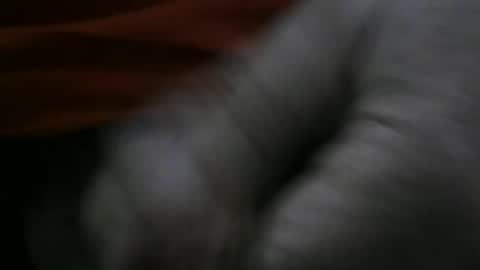 Snapshot of jerom111111111 chatting on 01.02.25 jerom111111111 online show from 01.02.25