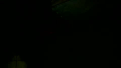 dovedianna online show from 12.16.24