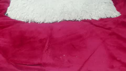 Snapshot of jessymoon00 chatting on 11.25.25 jessy online show from 11.25.25