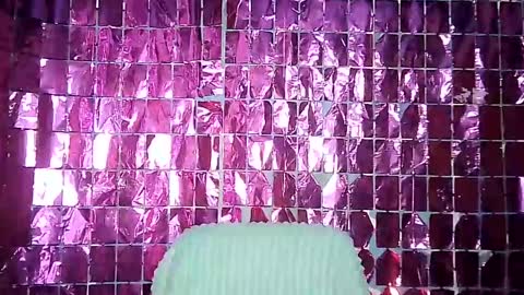 Snapshot of jet_clomet21 chatting on 01.27.25 Ale online show from 01.27.25