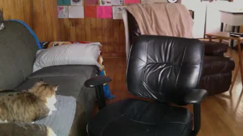 Snapshot of jettadude5 chatting on 01.25.25 jettadude5 online show from 01.25.25