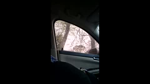 Snapshot of jgthagr8 chatting on 03.04.26 jgthagr8 online show from 03.04.26