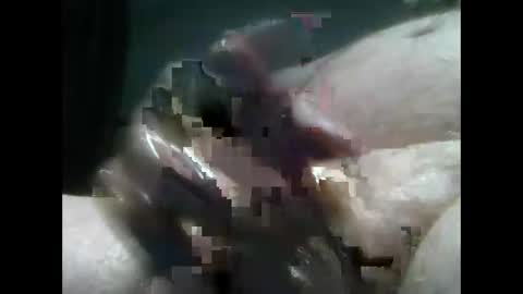 jimboluv488 online show from 12.18.24