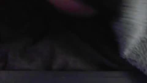 JimmyC online show from 05.13.26