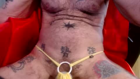 cock model  bathing suit model online show from 07.29.26