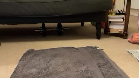 jinker2002 online show from 12.16.24