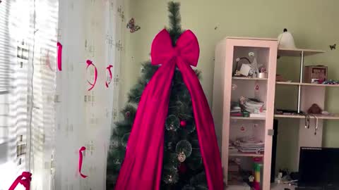 Jinny online show from 12.14.25