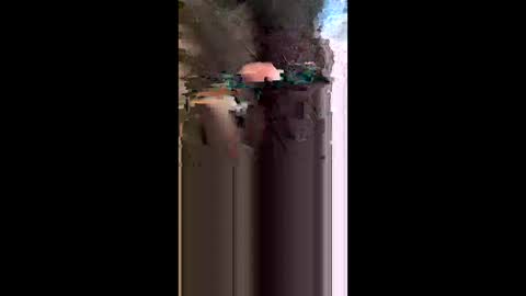 jkint0702 online show from 05.17.26
