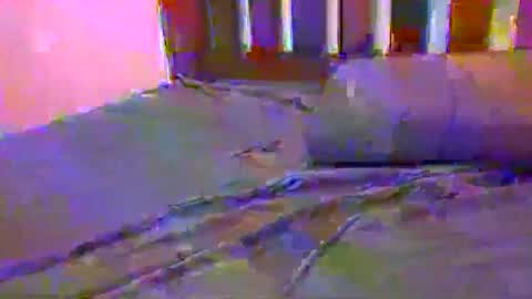 tip me online show from 02.17.25