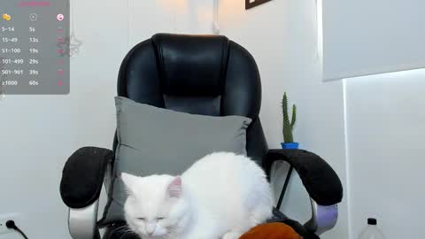 Snapshot of jmortton chatting on 12.01.25 IGJmortton online show from 12.01.25