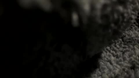 joekent795447 online show from 04.20.26