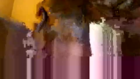 Snapshot of john499343 chatting on 10.31.25 John online show from 10.31.25