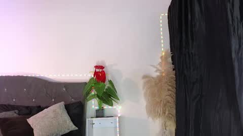 John  online show from 04.11.26