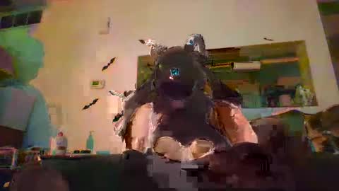 Snapshot of johnnyadepth chatting on 11.01.25 johnnyadepth online show from 11.01.25